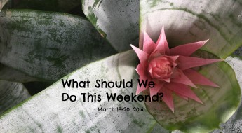 10 Things to be Excited About at New Main Library! | What Should We Do