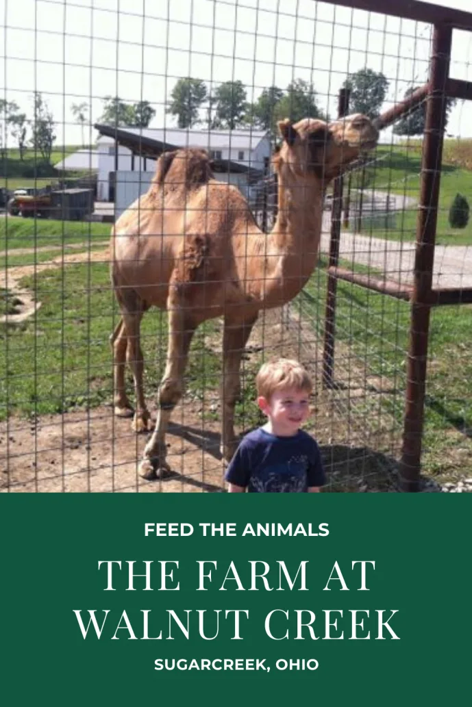 The Farm at Walnut Creek