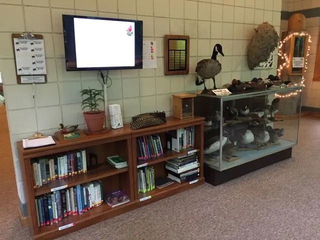 books and mounted birds inside the Nature Center
