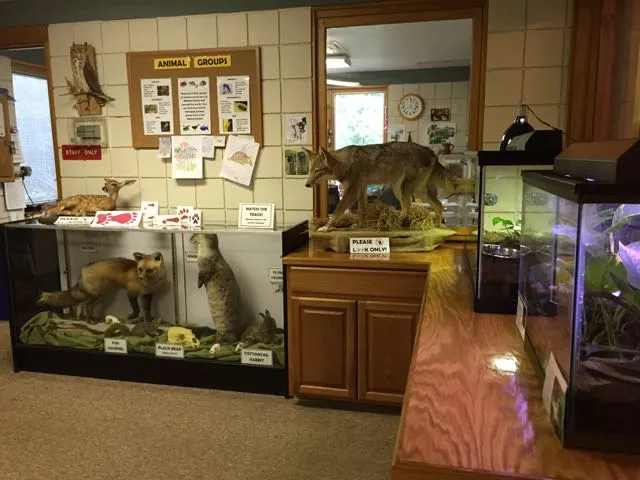 More mounted animals inside the Nature Center