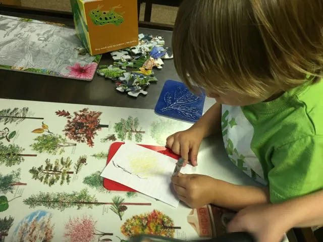 boy making leaf prints