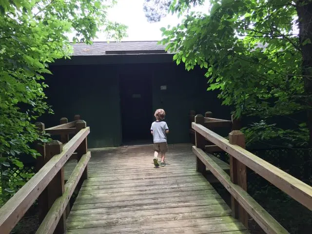 boy on the path to the bird watching area