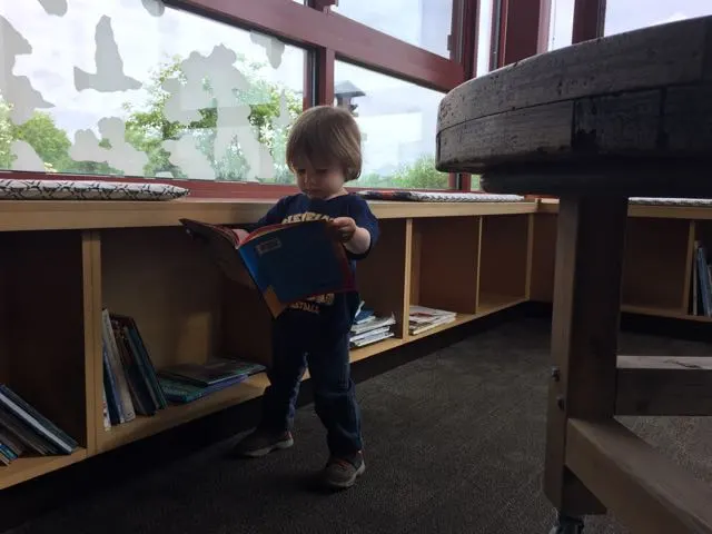 boy reading a book in the Nature Center