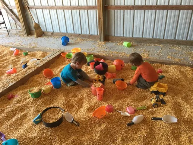 boys playing in corn bin at Jaquemin Farm in Plain City, Ohio.