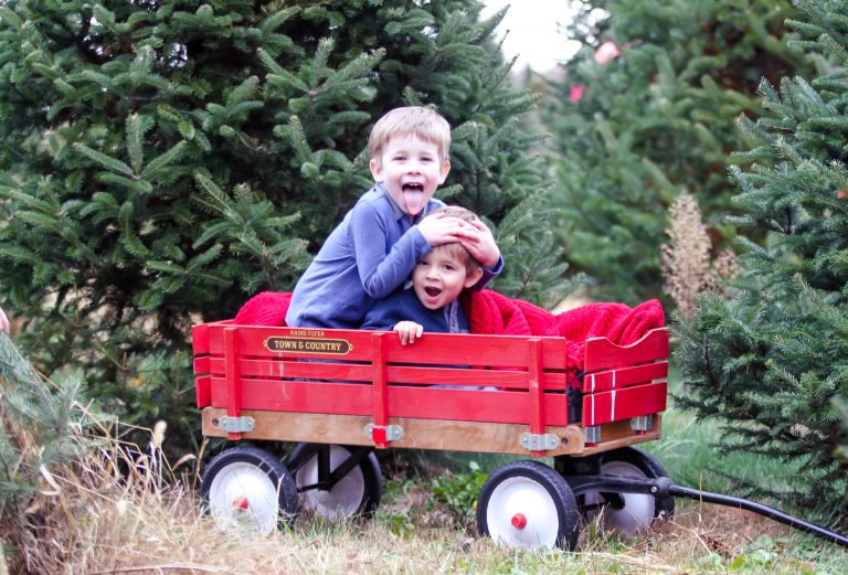2 Columbus Christmas Tree Farms + Family Photos