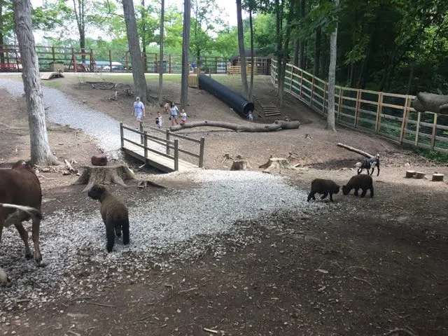 inside the petting zoo at Olentangy Indian Caverns
