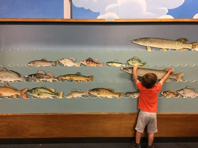 A boy putting a fish puzzle together at the Aquatic Visitor's Center on PIB.
