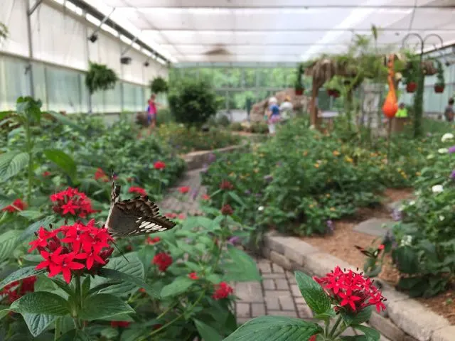 Butterfly House on Put-in-Bay.