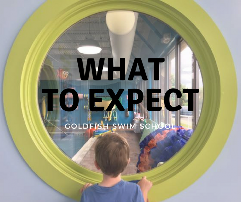 goldfish swim school Archives | Page 2 of 2 | What Should We Do Today  Columbus?