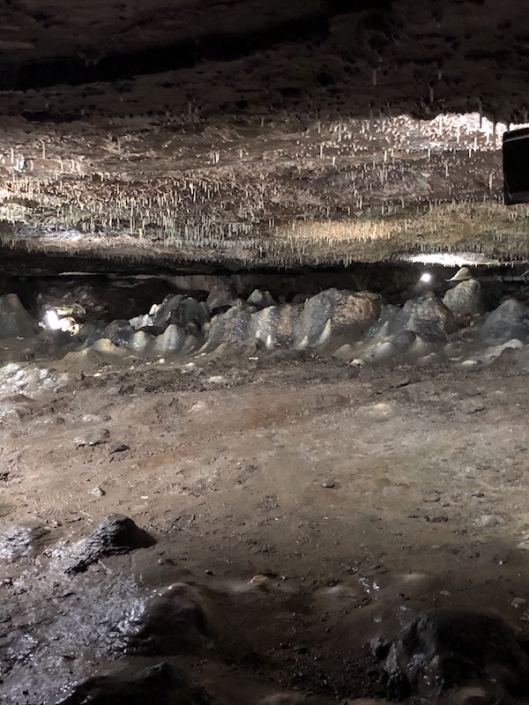 23 Fun Things to Do at PutinBay with Your Kids