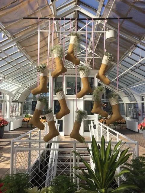 Stockings hung at Franklin Park Conservatory, Columbus, Ohio