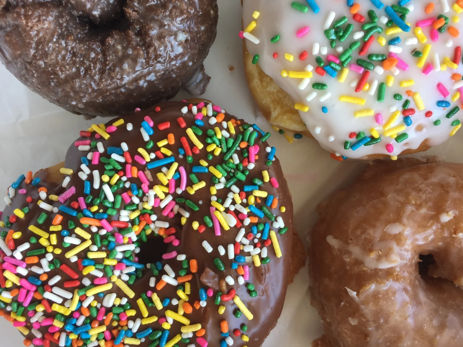 donuts at Jupiter Coffee and Donuts