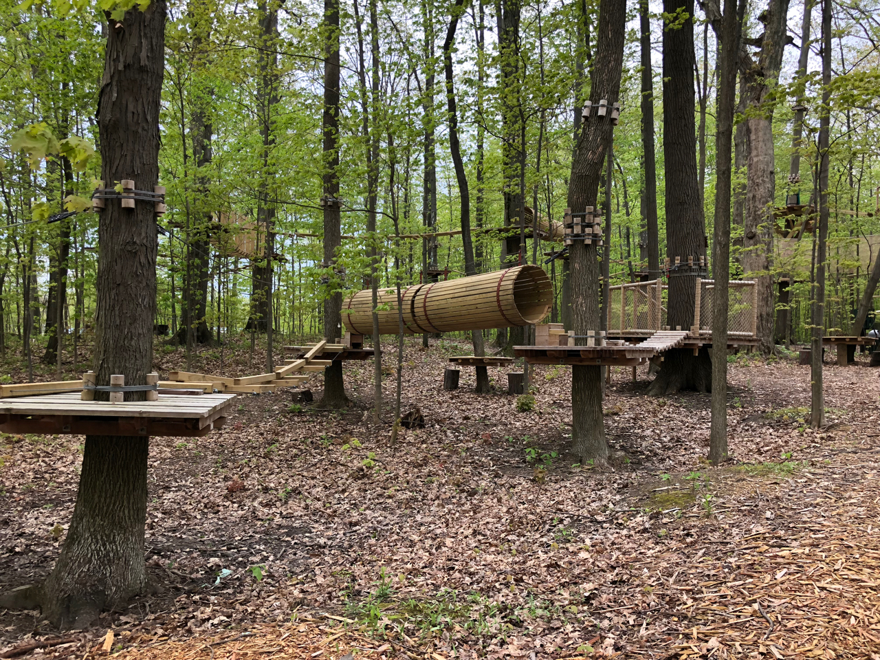 kids course at Lake Erie Canopy Tours