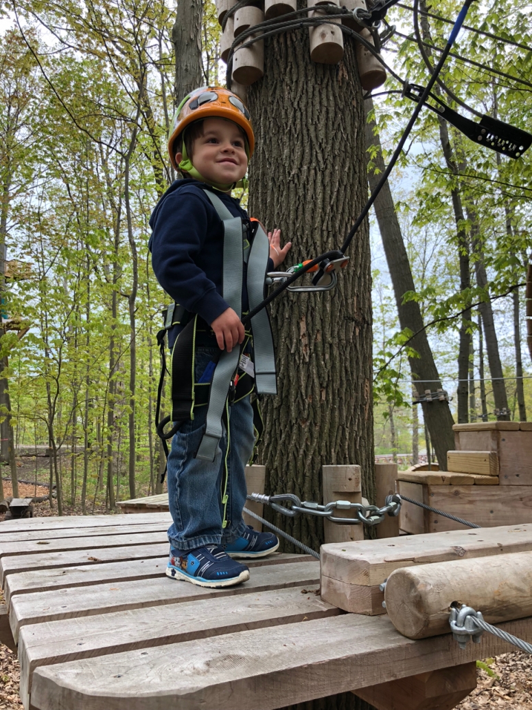 lake erie canopy tours