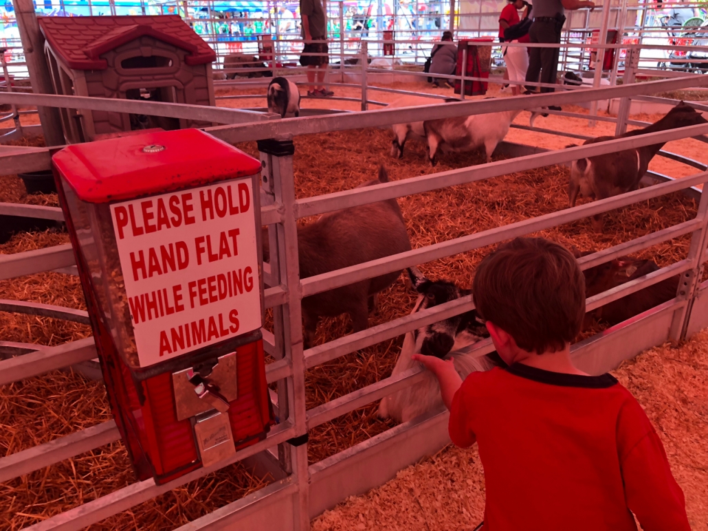 Ohio State Fair Petting Zoo
