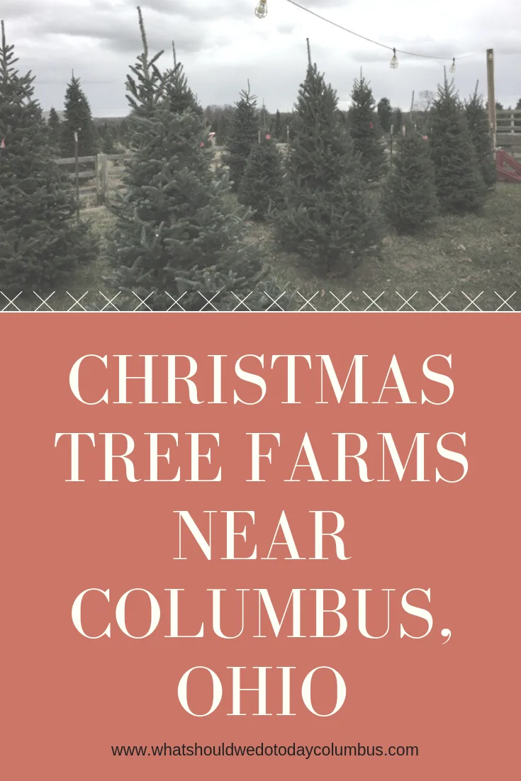 Christmas Tree Farms near Columbus Ohio