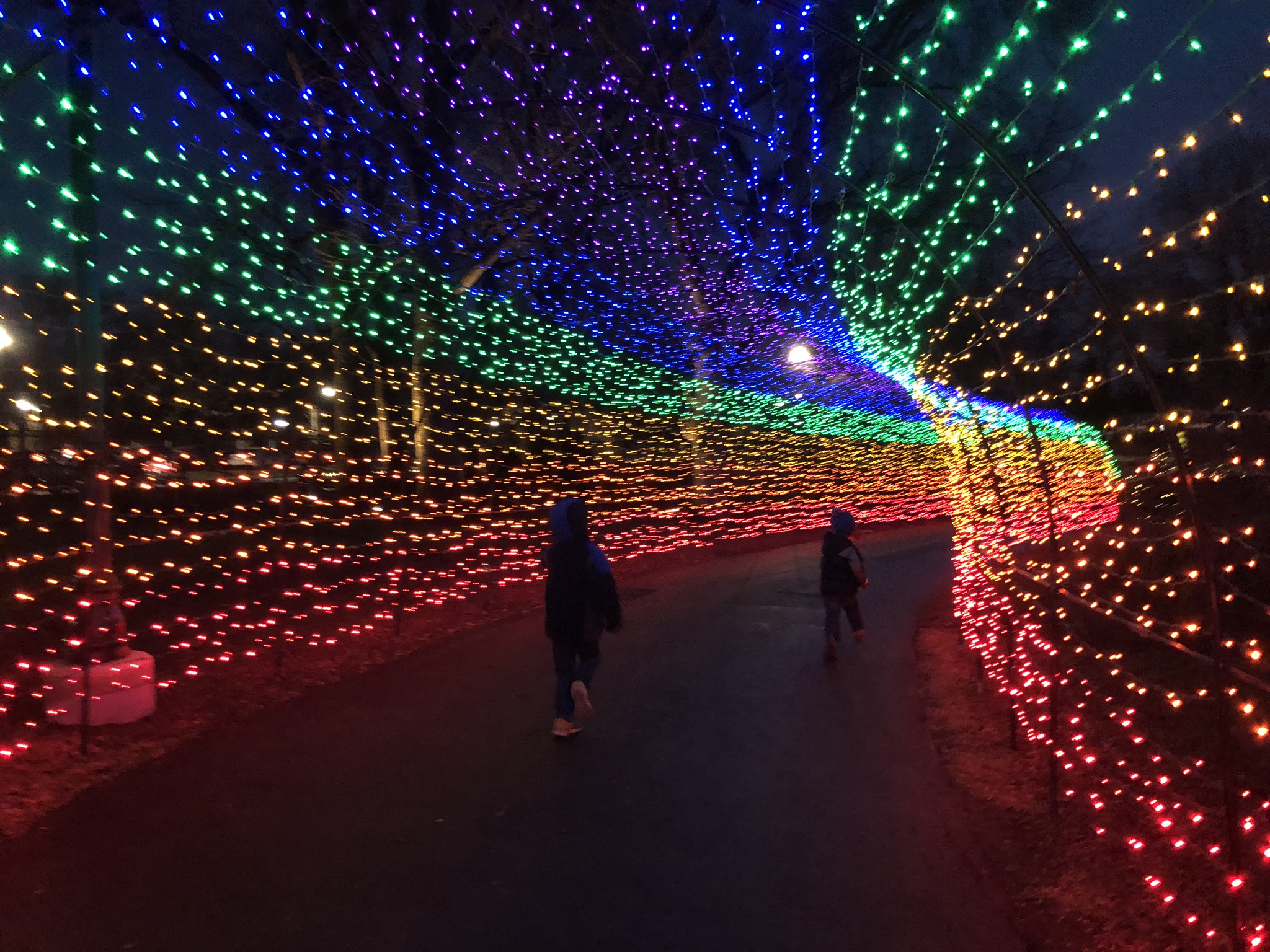 outdoor lights at Franklin Park Conservatory, Columbus, Ohio