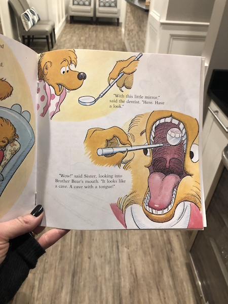berenstain bears go to the dentist book for toddlers