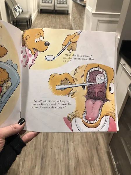 berenstain bears go to the dentist book for toddlers