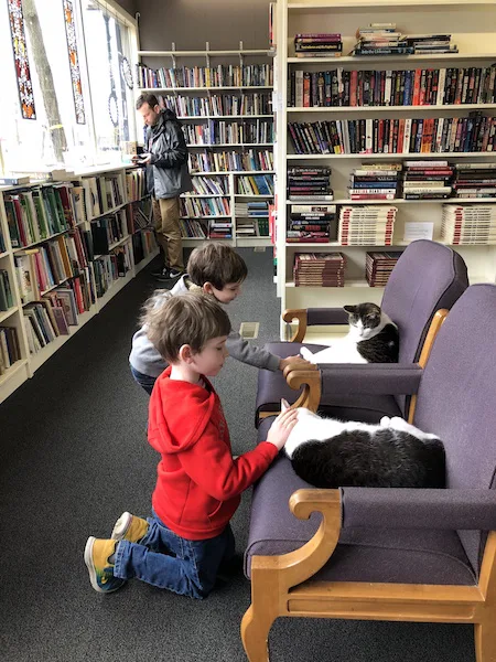 kids petting cats at Paperback Exchange in Lancaster, Ohio