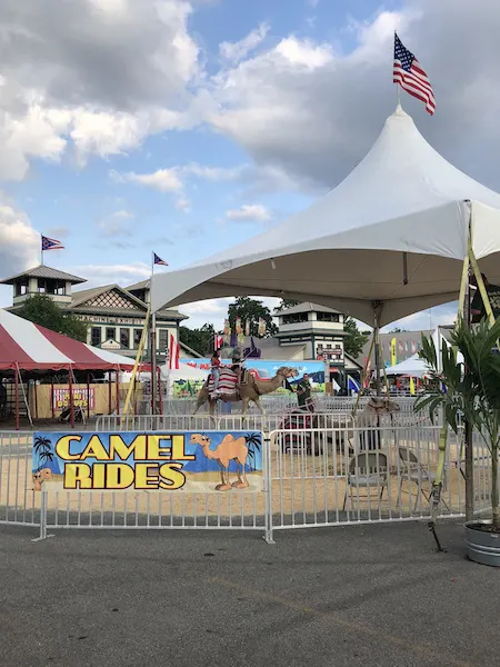 Camel Rides at the Ohio State Fair, Columbus, Ohio
