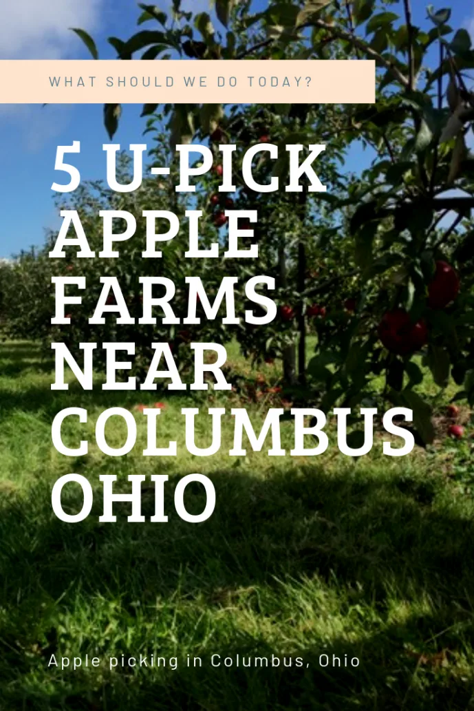 5 U Pick Apple Farms Near Columbus Ohio