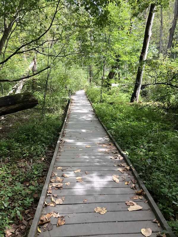 Hiking Path at Glen Helen Nature Reserve