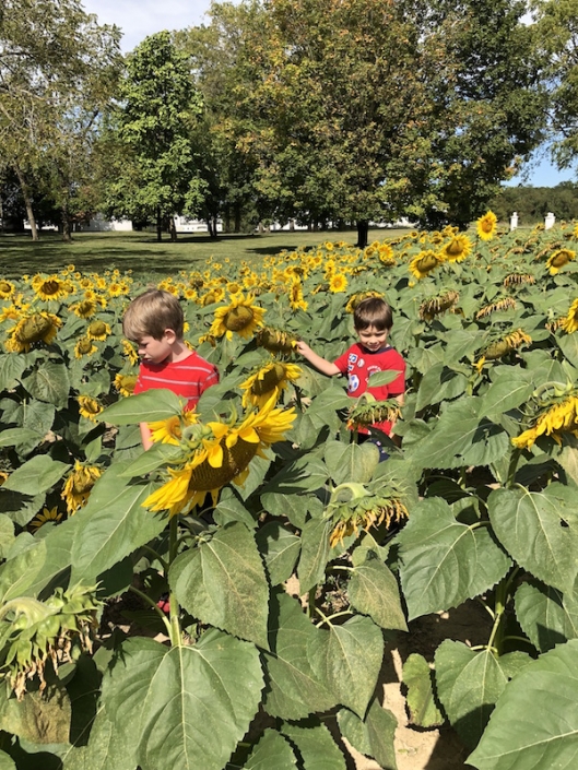3 Fun Things to do with Kids in Yellow Springs, Ohio