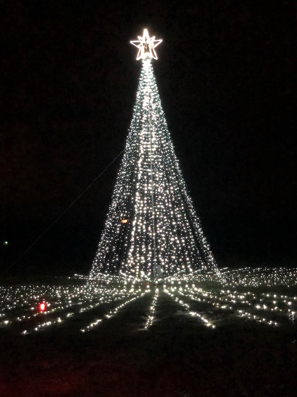 tall christmas tree at WonderLight's Christmas in Ohio