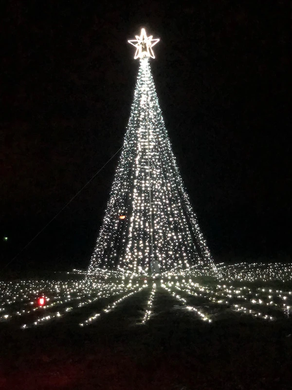 Christmas tree made of lights at WonderLight's Christmas in Ohio 