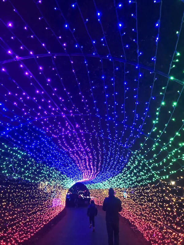 lights at Franklin Park Conservatory's Conservatory Aglow