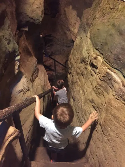 kids going down steps at Olentangy Indian Caverns