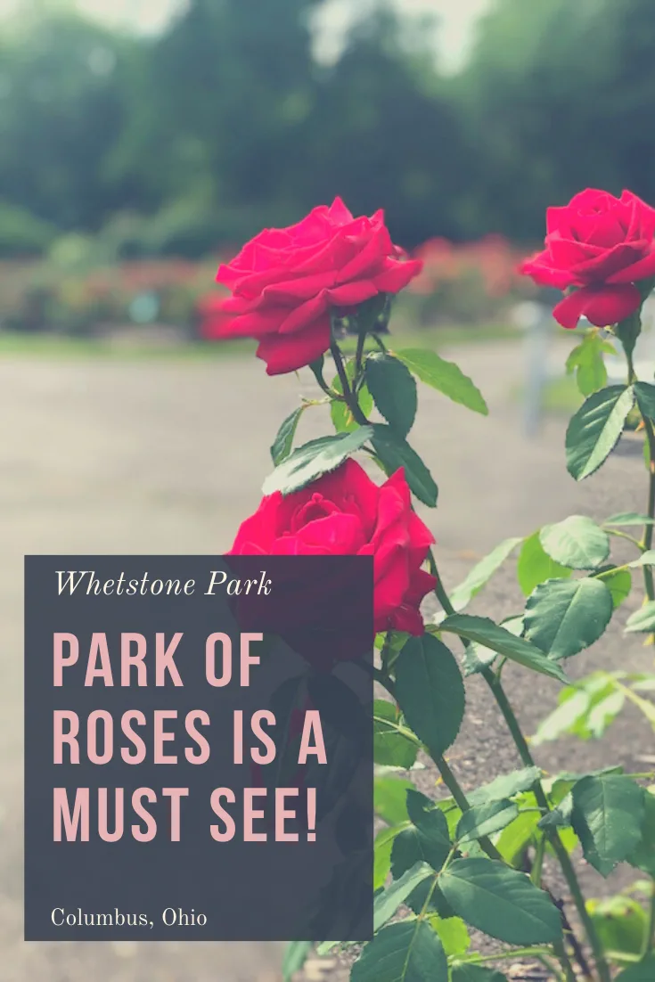 Whetstone Park Park of Roses is a Must See Destination in Columbus!
