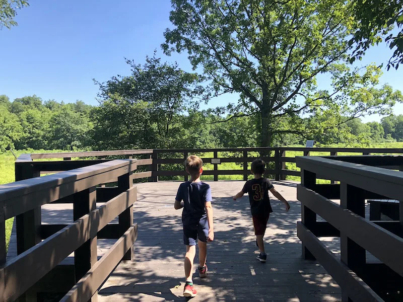 kids at the wildlife observation deck at Sharon Woods Metro Park, Columbus