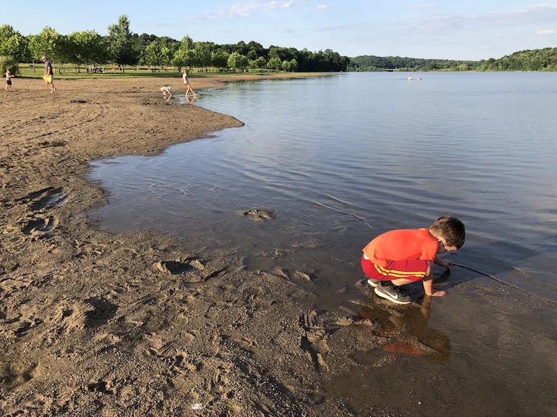 boy on the beach at Salt Fork State Park in Guernsey County, Ohio