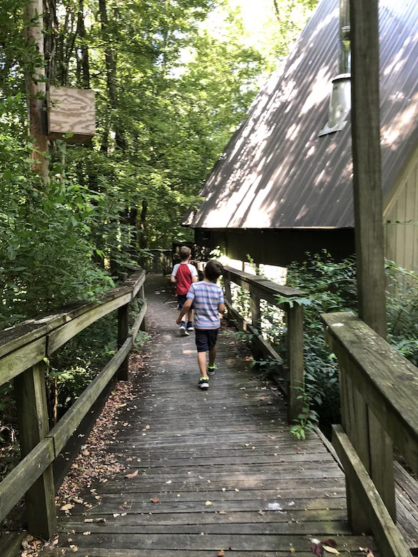 boys walking on the path through the Ohio Bird Sanctuary
