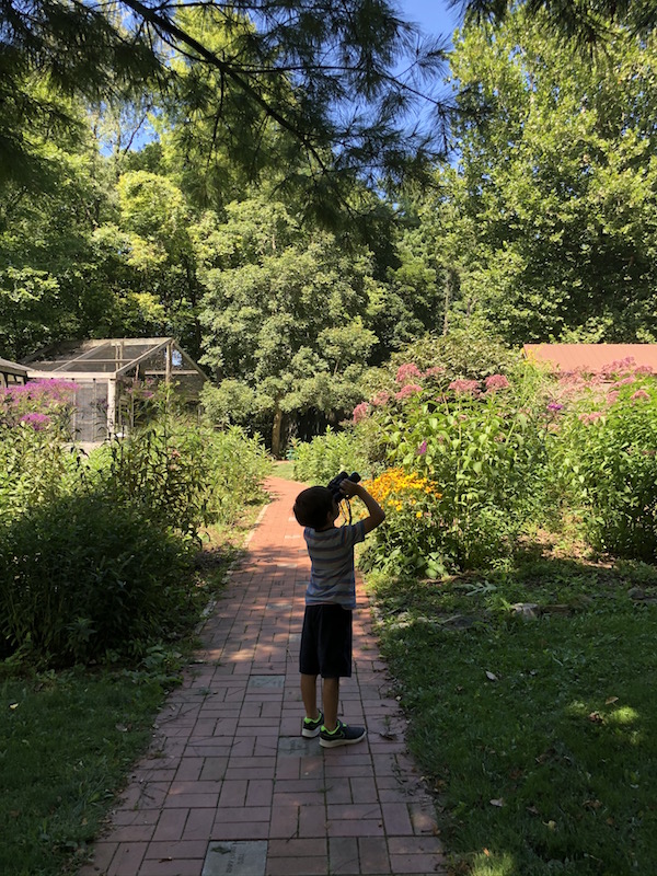 boy looking through binoculars at the butterfly garden within the bird sanctuary