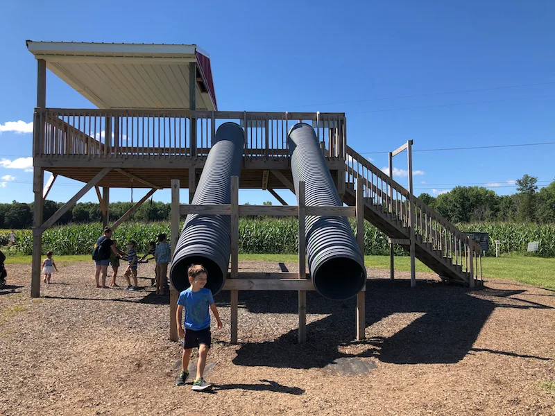 slides and play structure at Hendren Farm Market