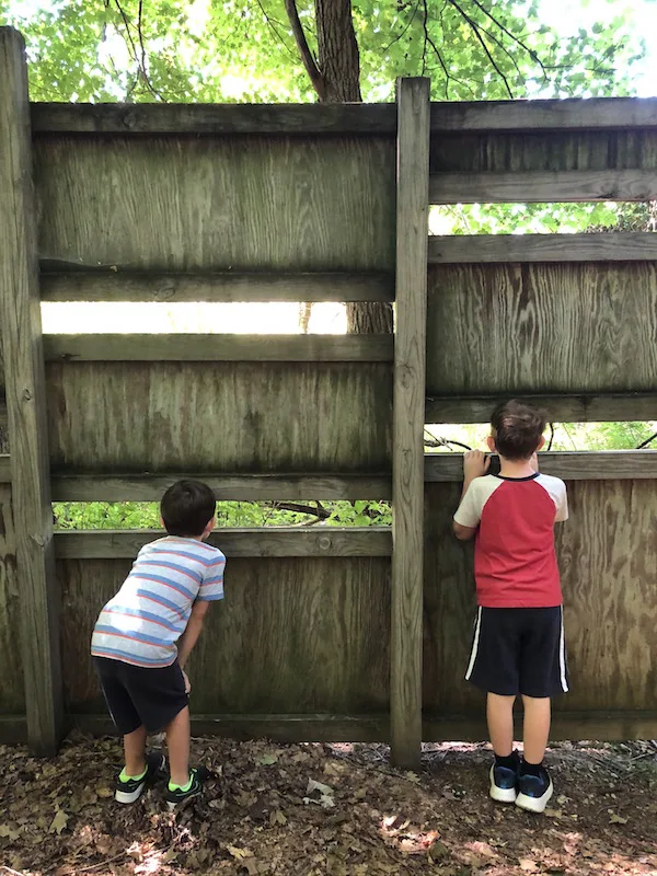 two boys looking through the bird blind at the Ohio Bird Sanctuary