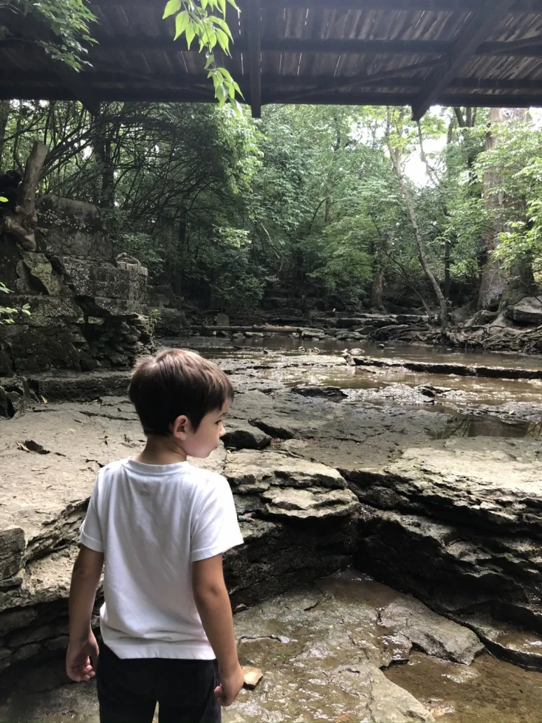 boy looking at the creek at Indian Run Falls in Dublin