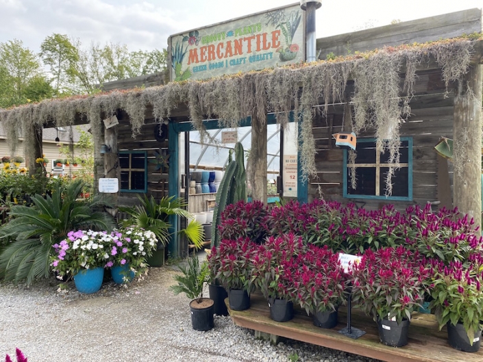 Groovy Plants Ranch is A Plant Lover�s Heaven!