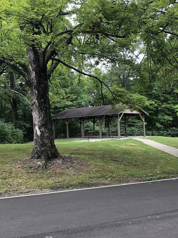 covered picnic pavilion at Mt. Gilead State Park in Ohio