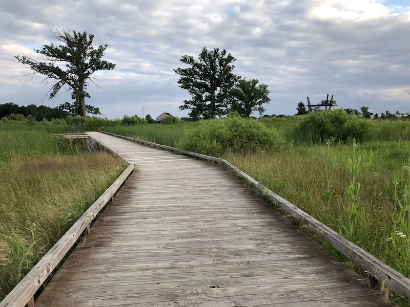 boardwalk trail at Glacier Ridge Metro Park