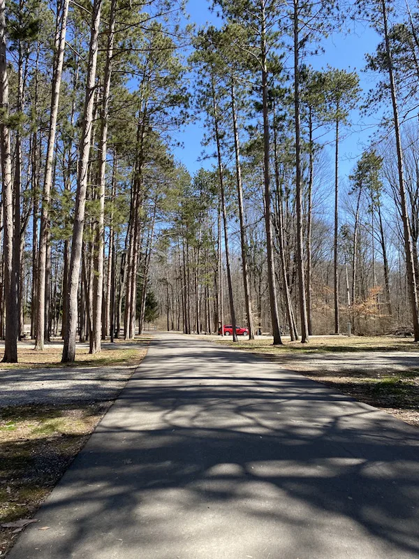 campsite areas at Mt. Gilead State Park