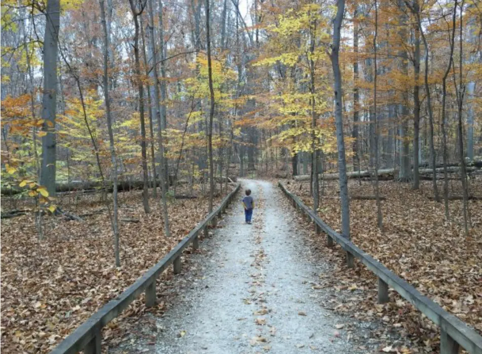 a boy on the Boardwalk Trail in Inniswood Metro Park