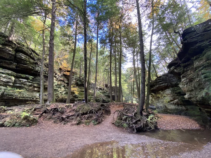 trees and rock formations in Old Man's Cave