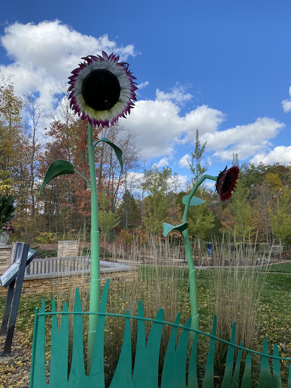 Turtle Mound at Inniswood Metro Garden 