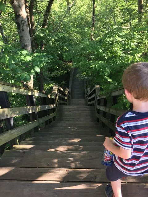 boy going down the steps to the waterfall at Hayden Falls Park in Dublin, Ohio
