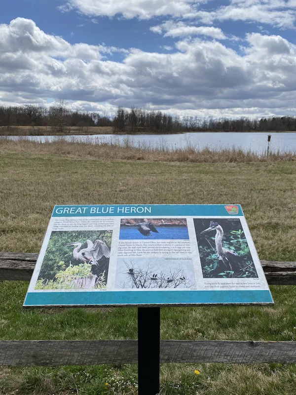 Great Blue Heron Viewing area at Pickerington Ponds Metro Park.