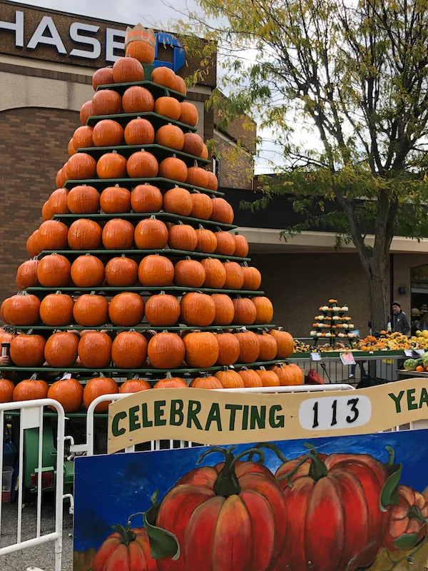 a large pyramid of pumpkins at the Circleville Pumpkin Show in Ohio.
